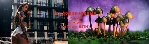 гашиш Сатка