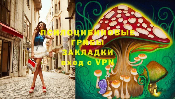 винт Саяногорск